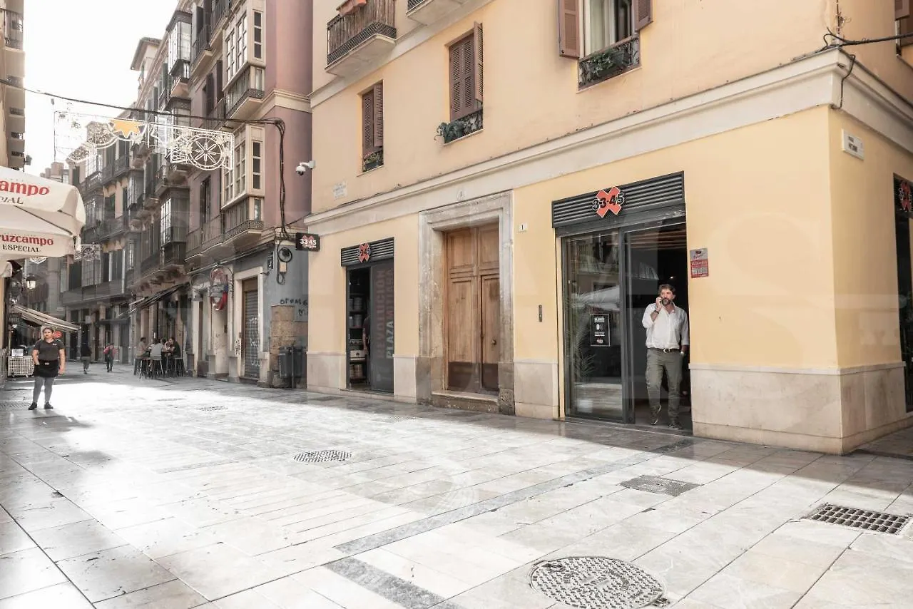 Sophisticated Apartment With Balcony & City Views By Rems Malaga Spain